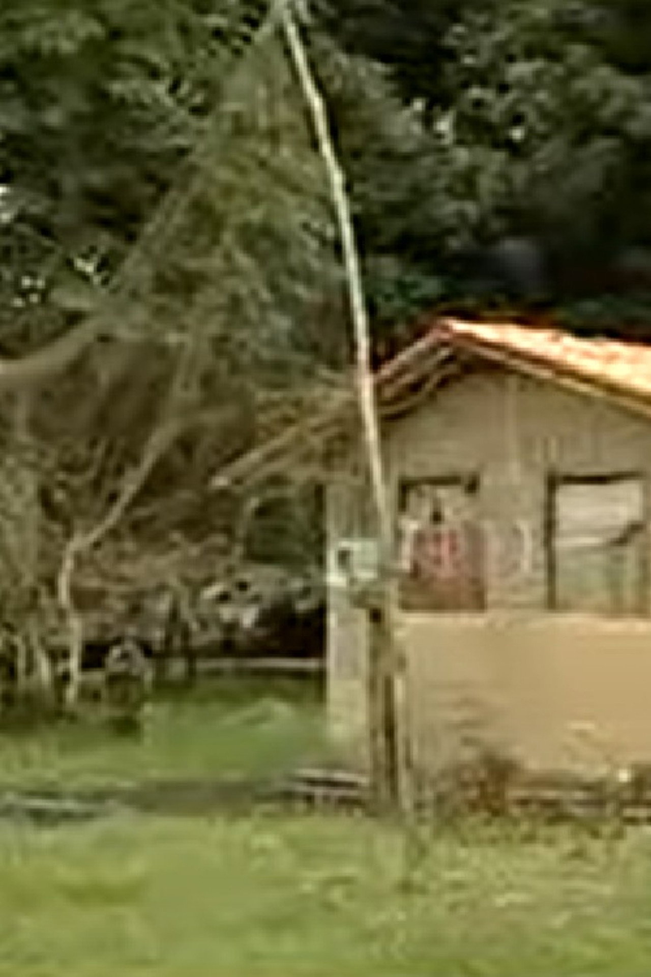 Cidades Amazônicas filmaffisch