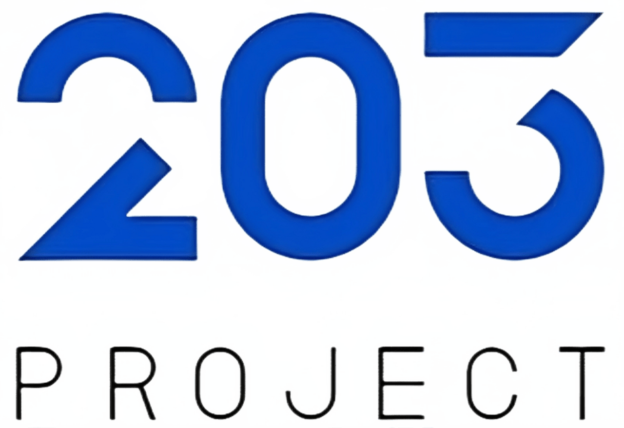 203 Project