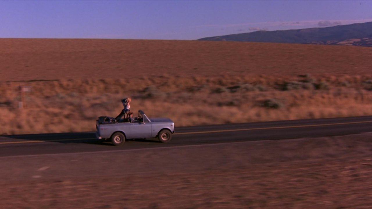 Mad Love (1995)