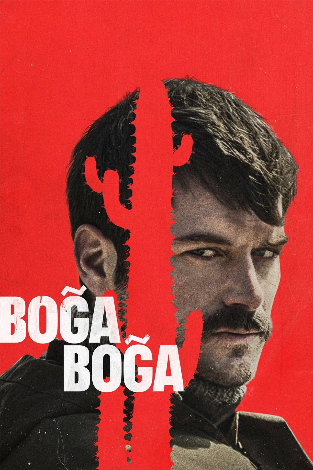 Boğa Boğa Poster
