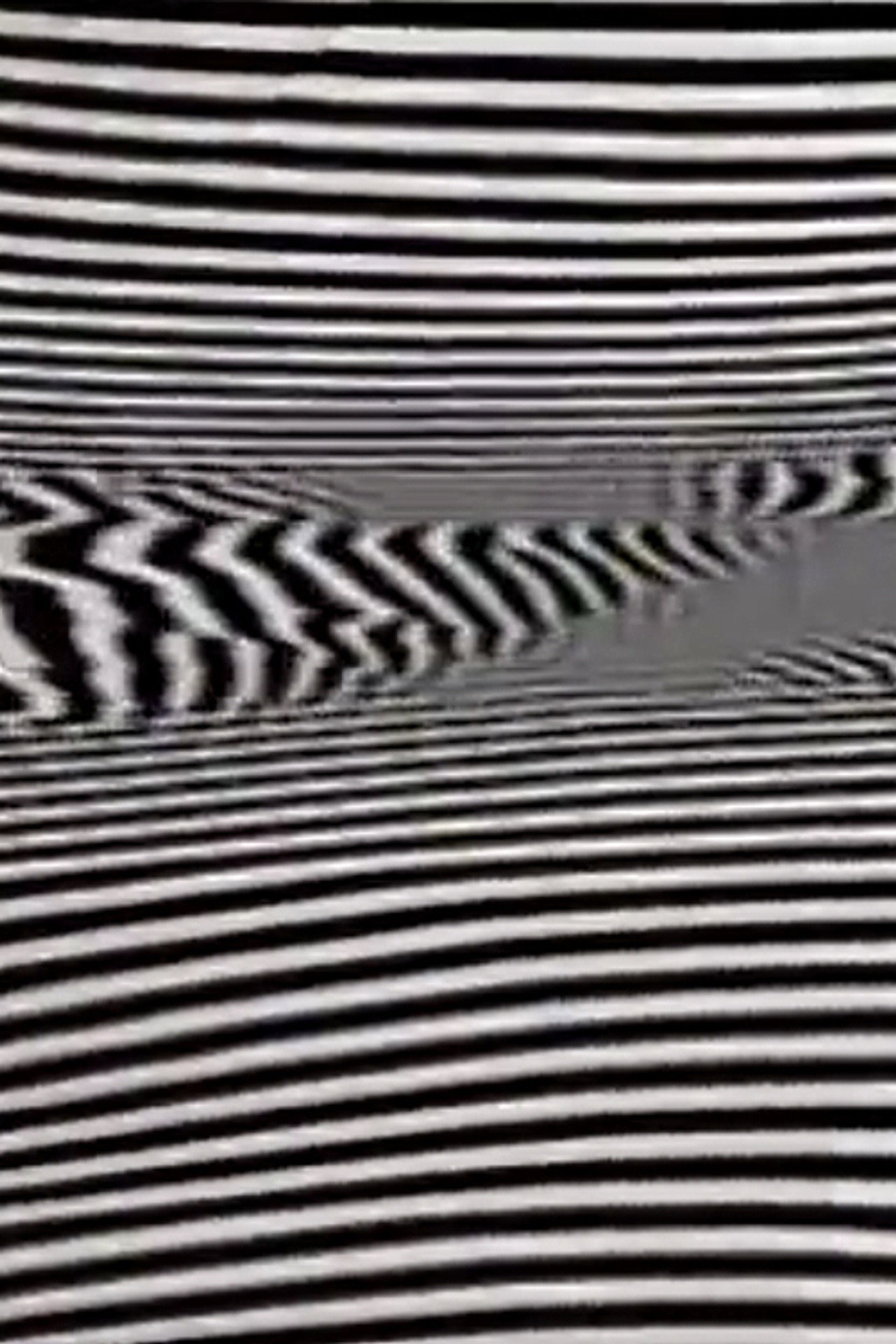 Black/White/Text