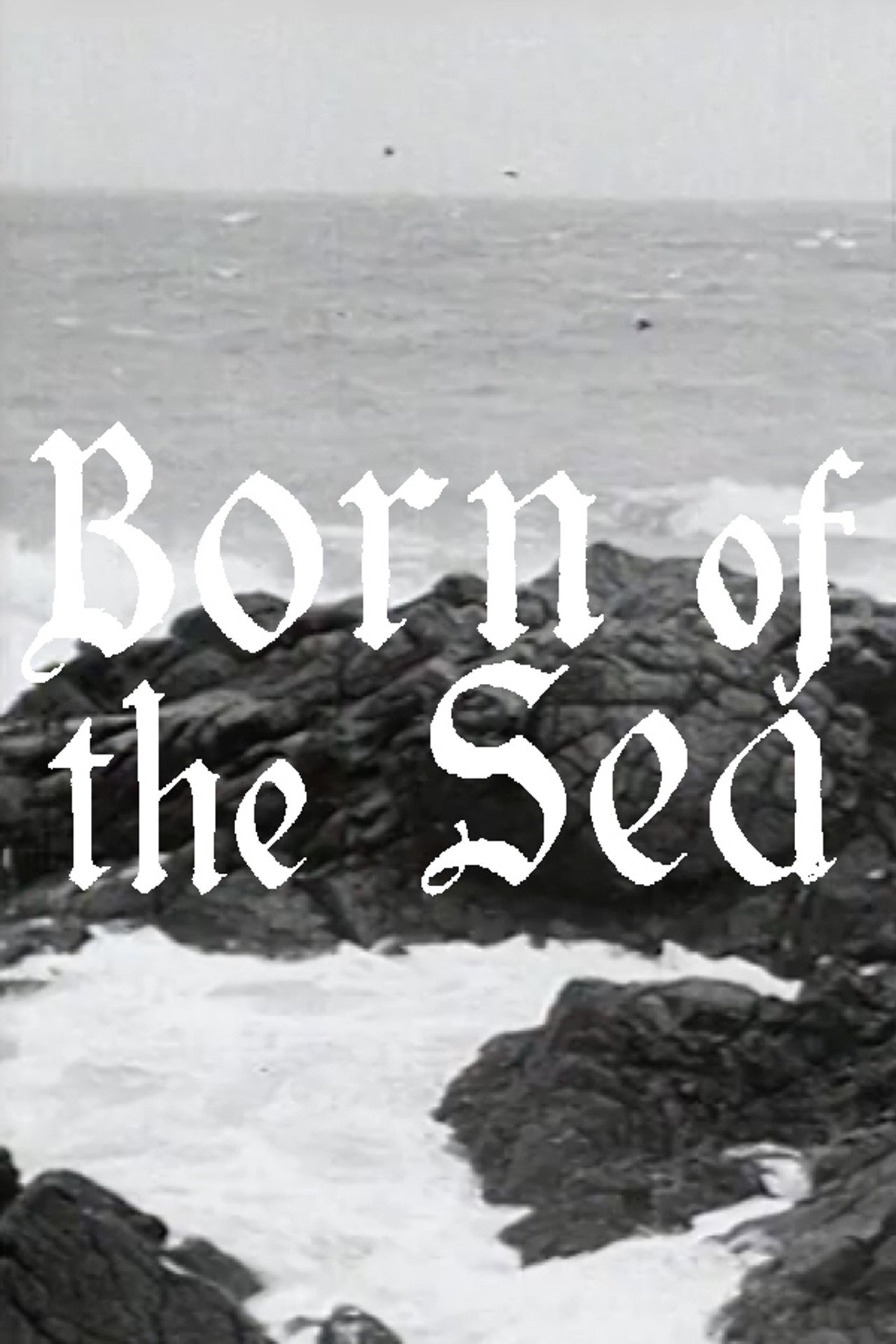 Born of the Sea Backdrop