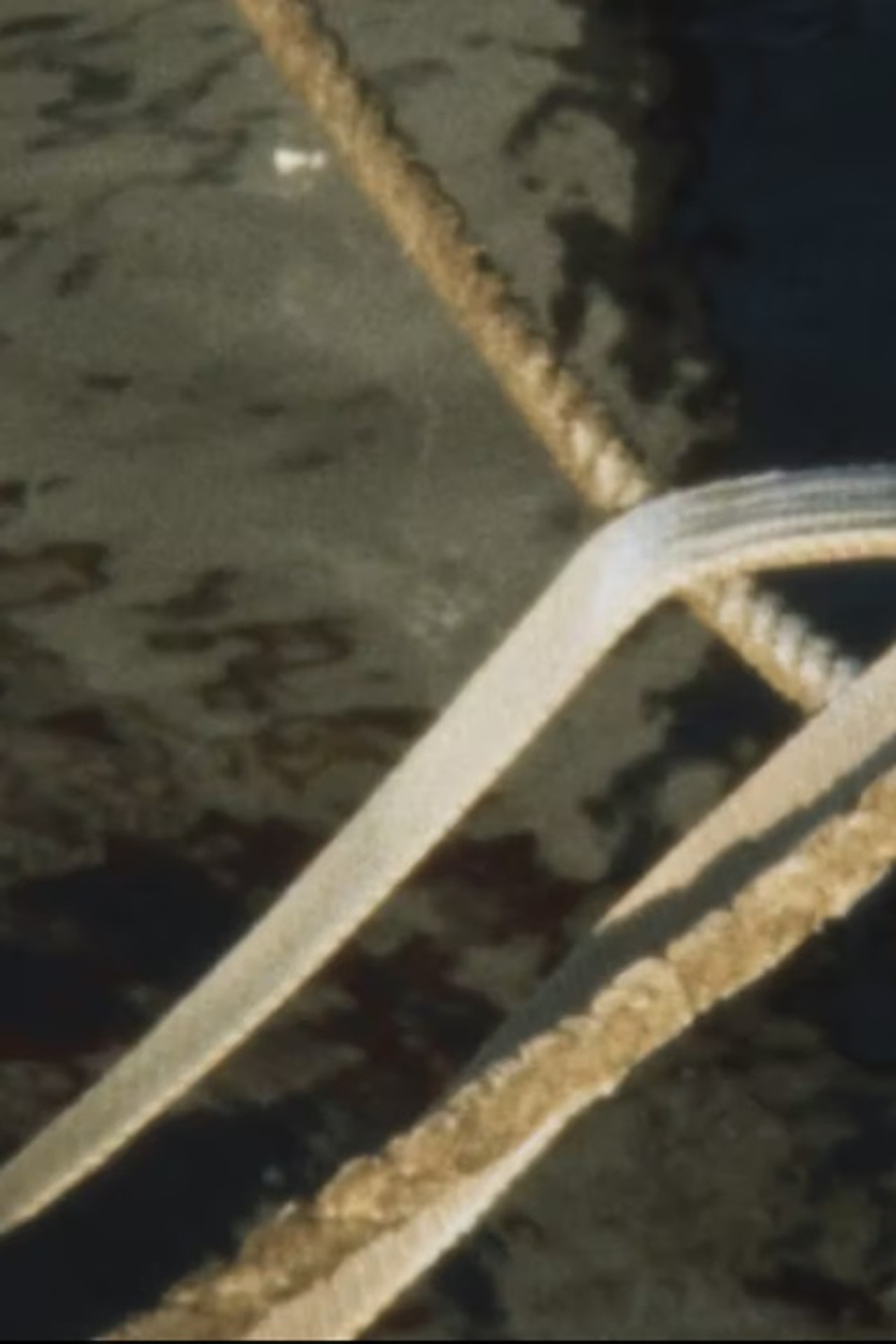 Harbour Film (2024)