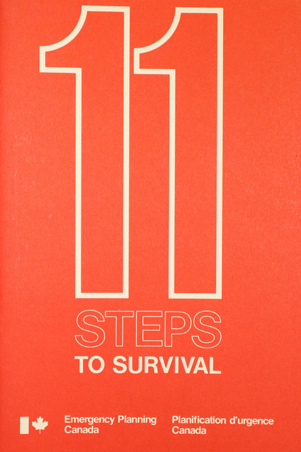 11 Steps to Survival poster