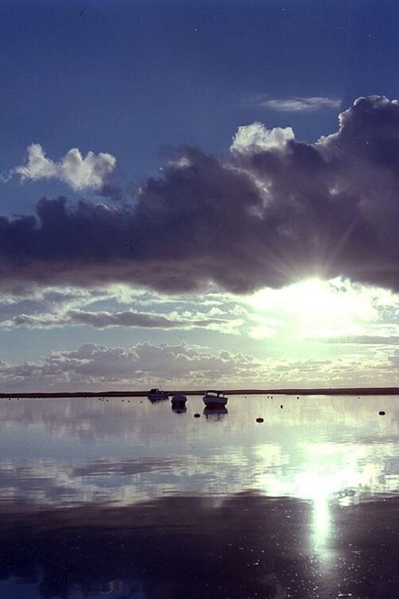 Estuary filmaffisch