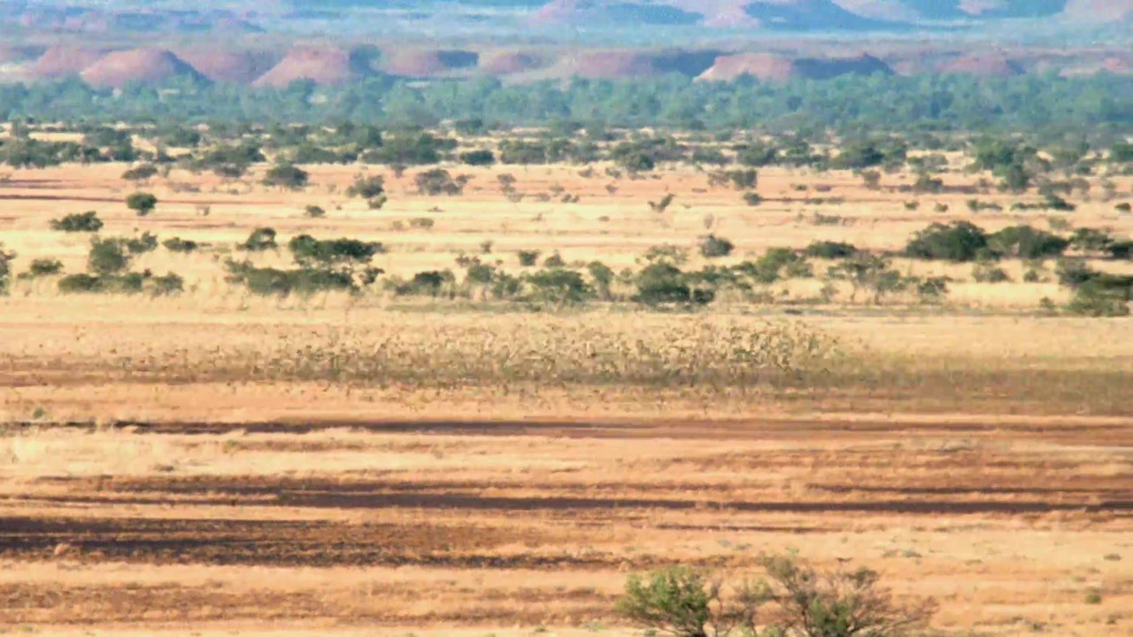 Wild Ones — Épisode 13