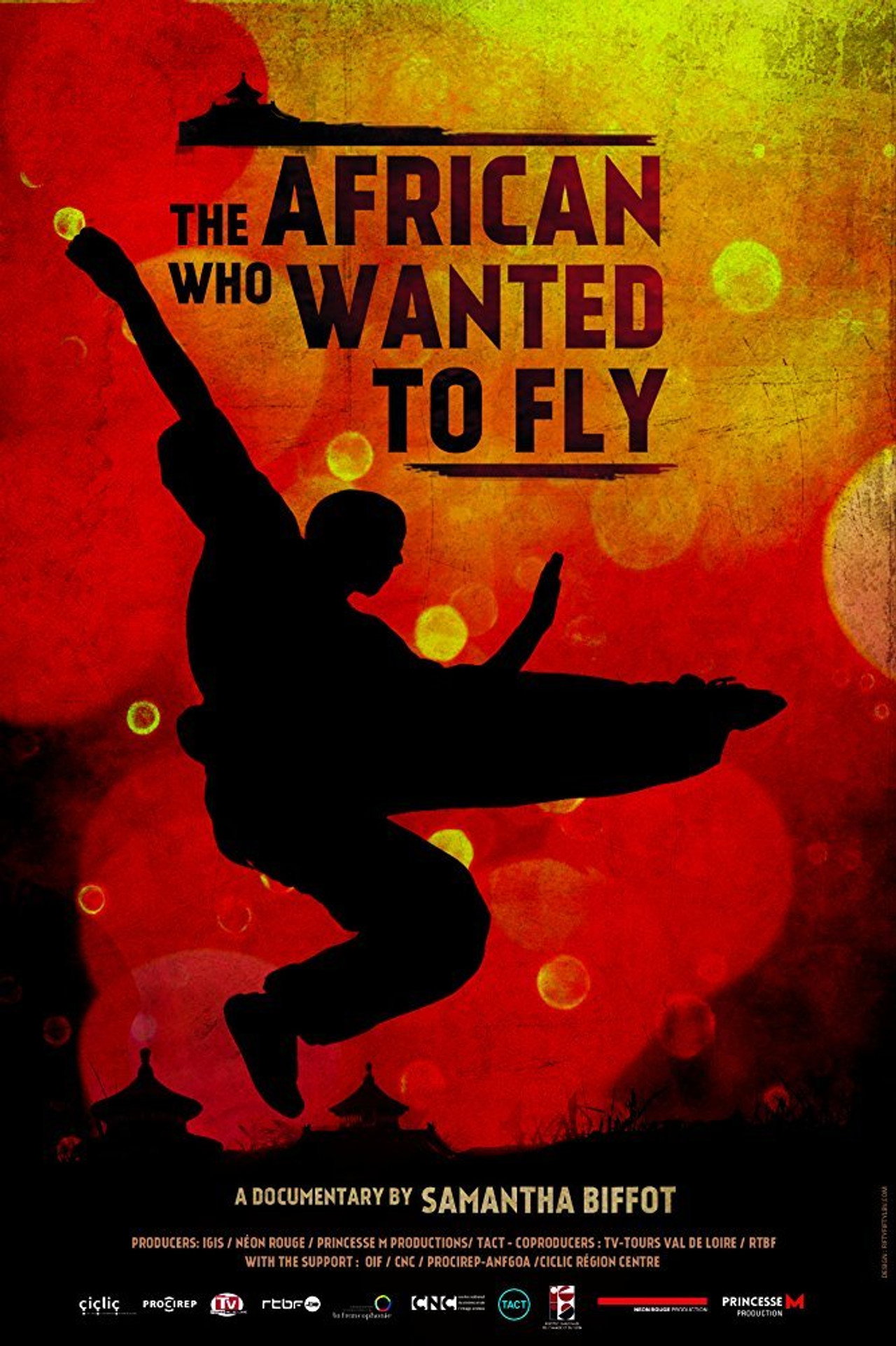 The African Who Wanted to Fly filmaffisch