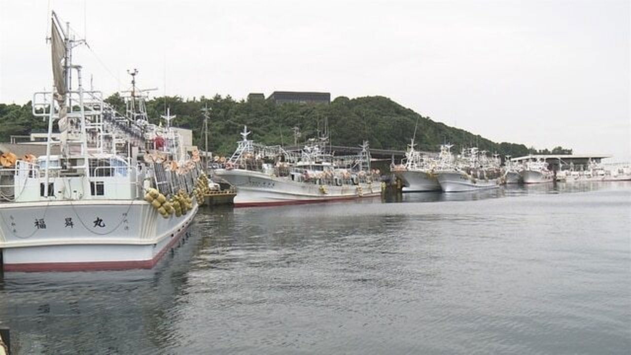 Document 72 Hours - Season 4 Episode 1 : Life on the Squid Hunt