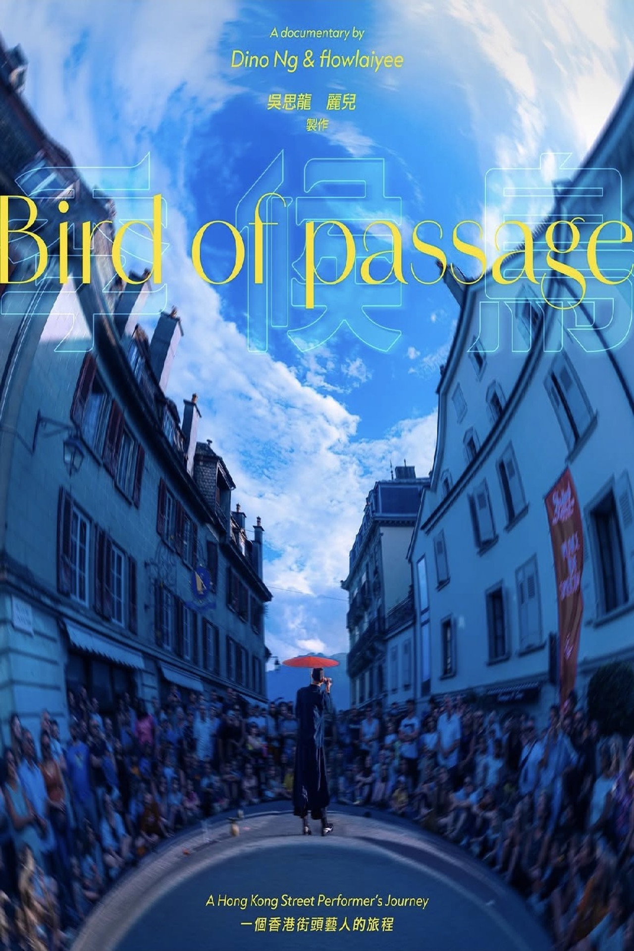 Bird of Passage poster