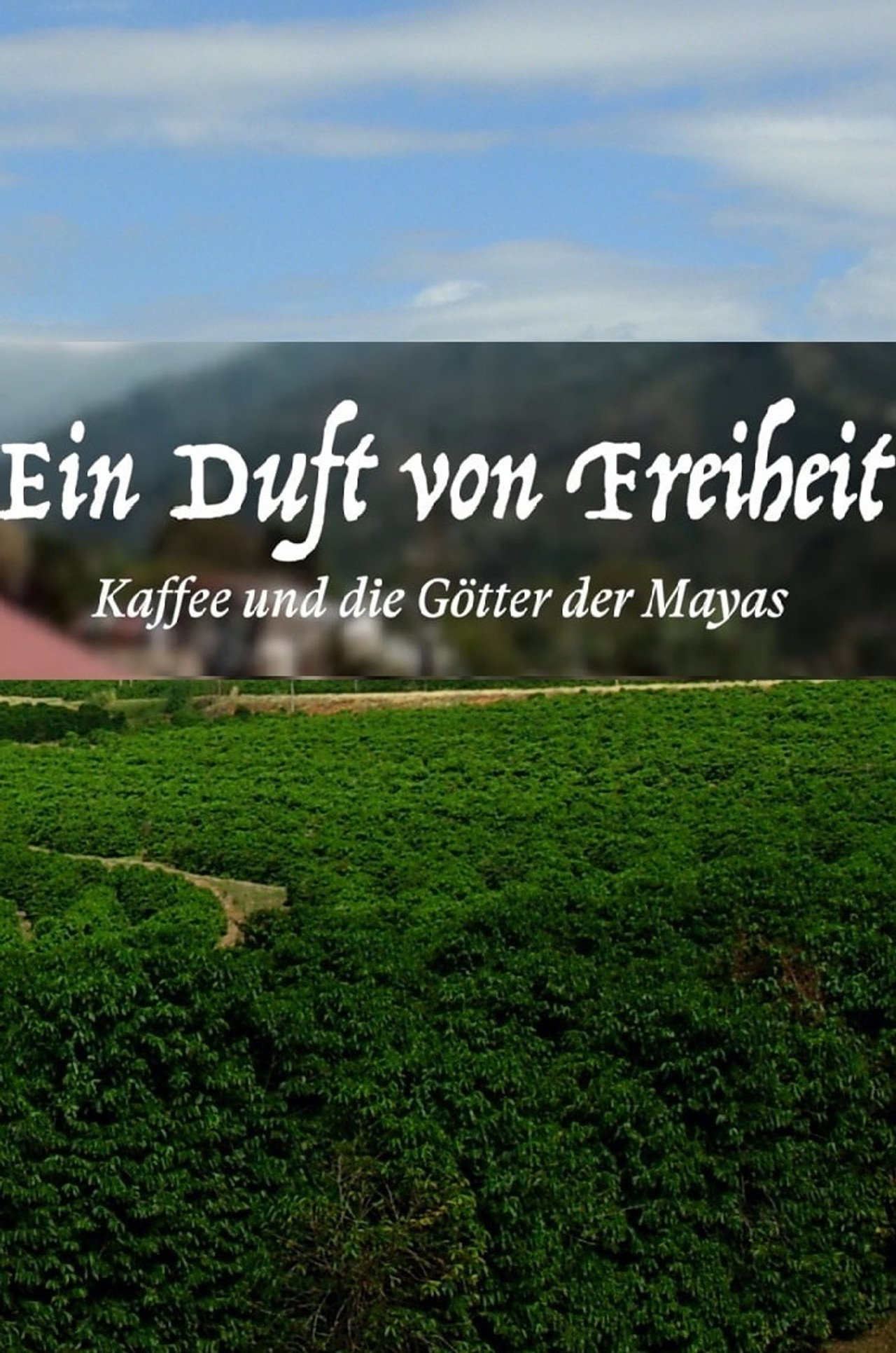 Ein Duft Von Freiheit filmaffisch