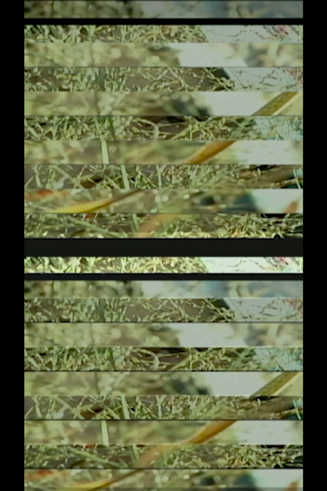 DIGITAL MATERIAL