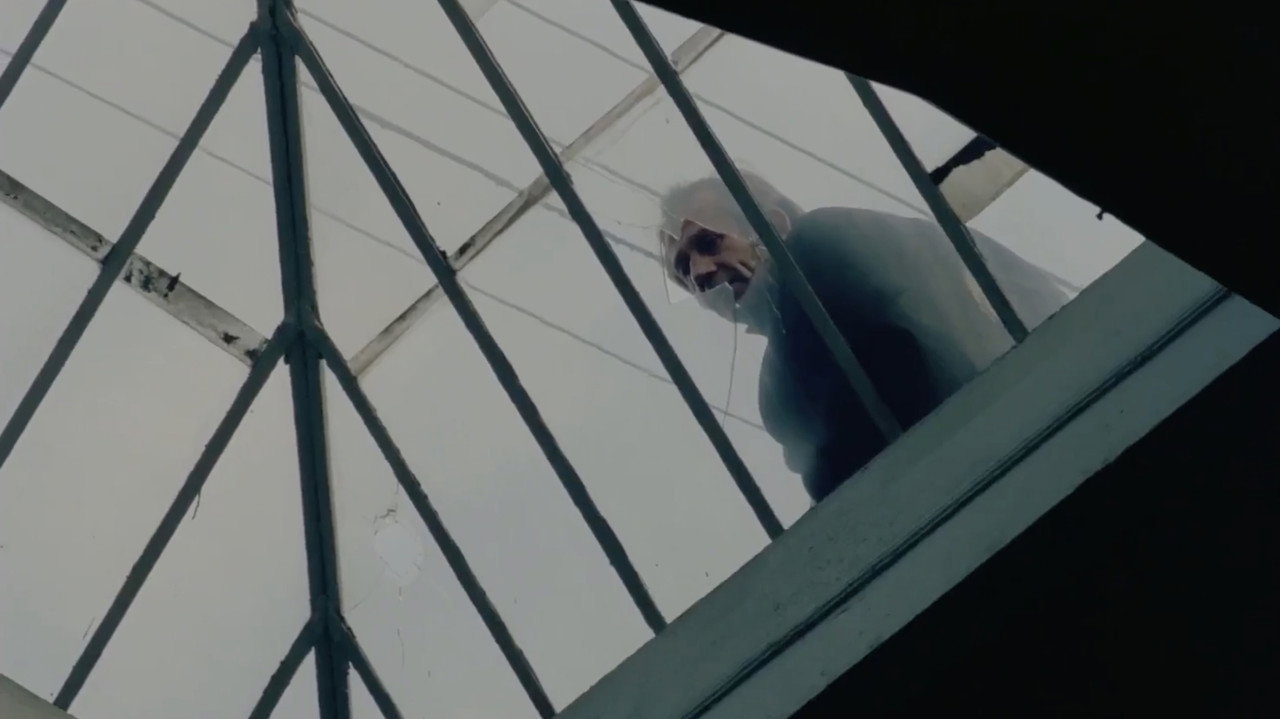 The Dancing Hawk backdrop