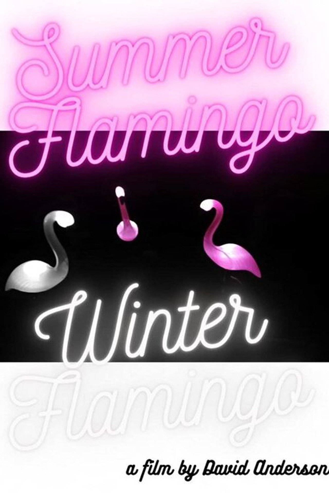 Summer Flamingo Winter Flamingo filmaffisch