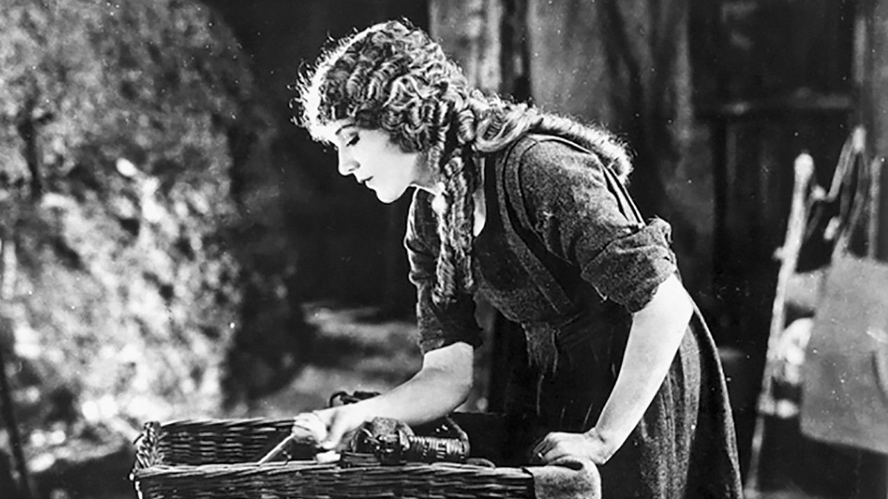 Tess of the Storm Country backdrop