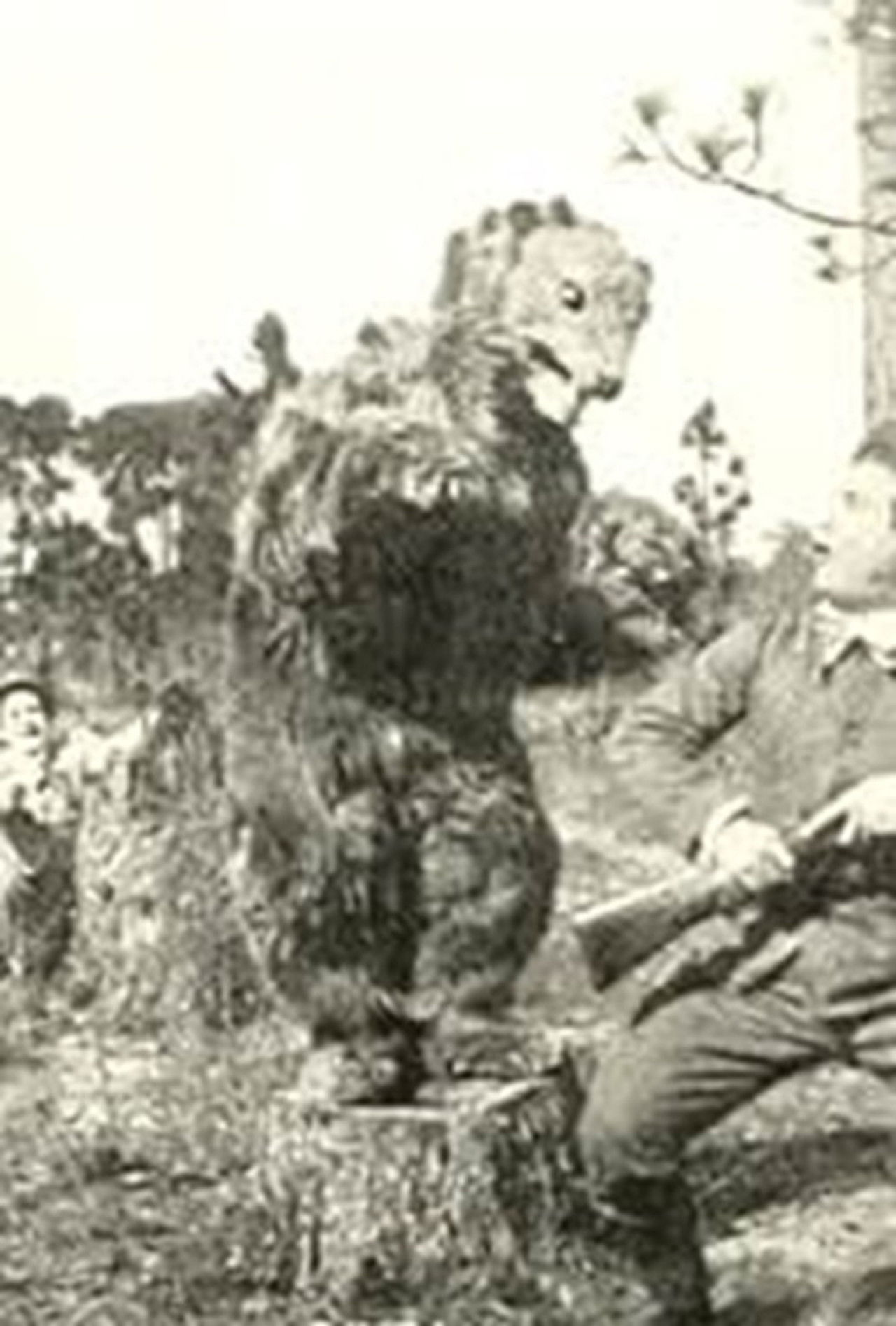 Willie, the Hunter Backdrop