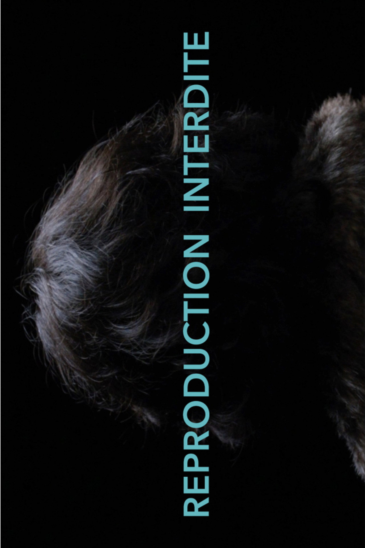 Reproduction Interdite filmaffisch