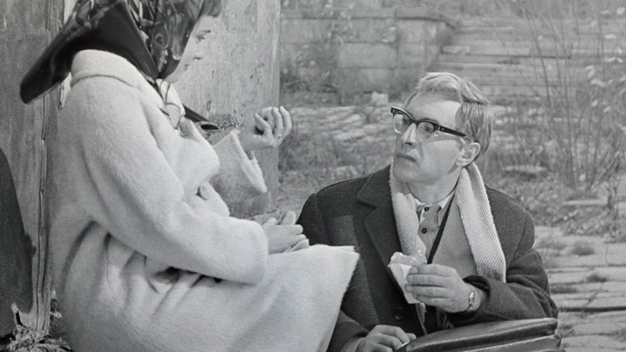 We'll Live Till Monday backdrop