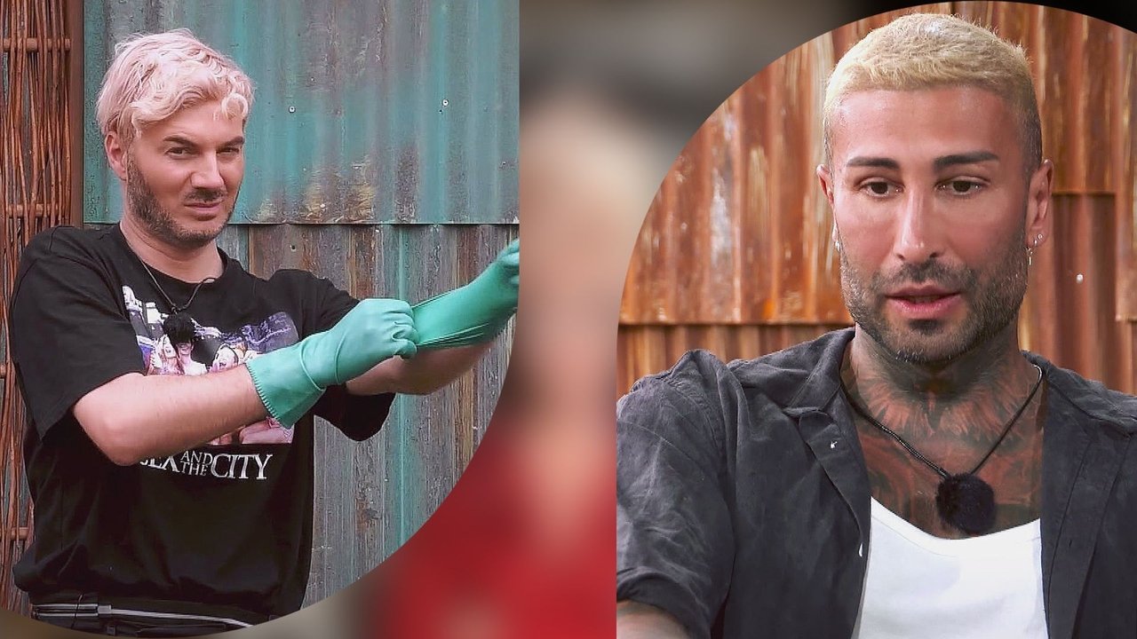 Das große Promi-Büßen - Season 3 Episode 7 : Ein Promi wirft das Handtuch