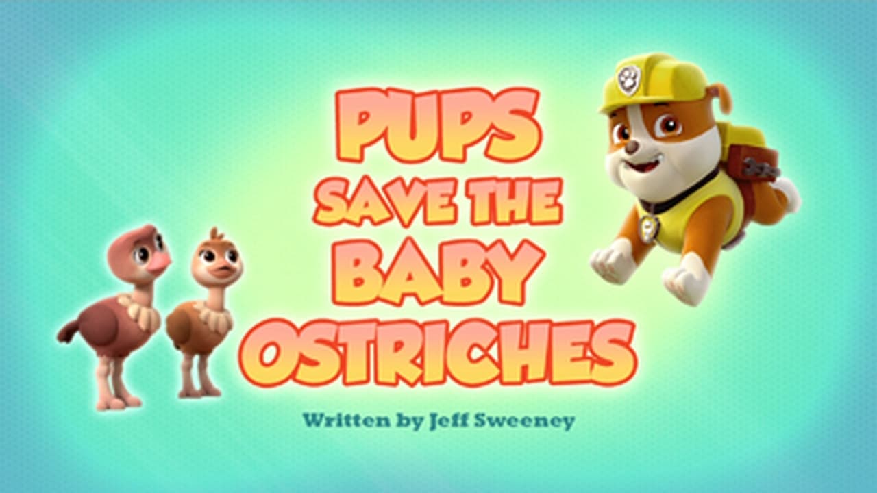 PAW Patrol - Season 6 Episode 12 : Pups Save the Baby Ostriches