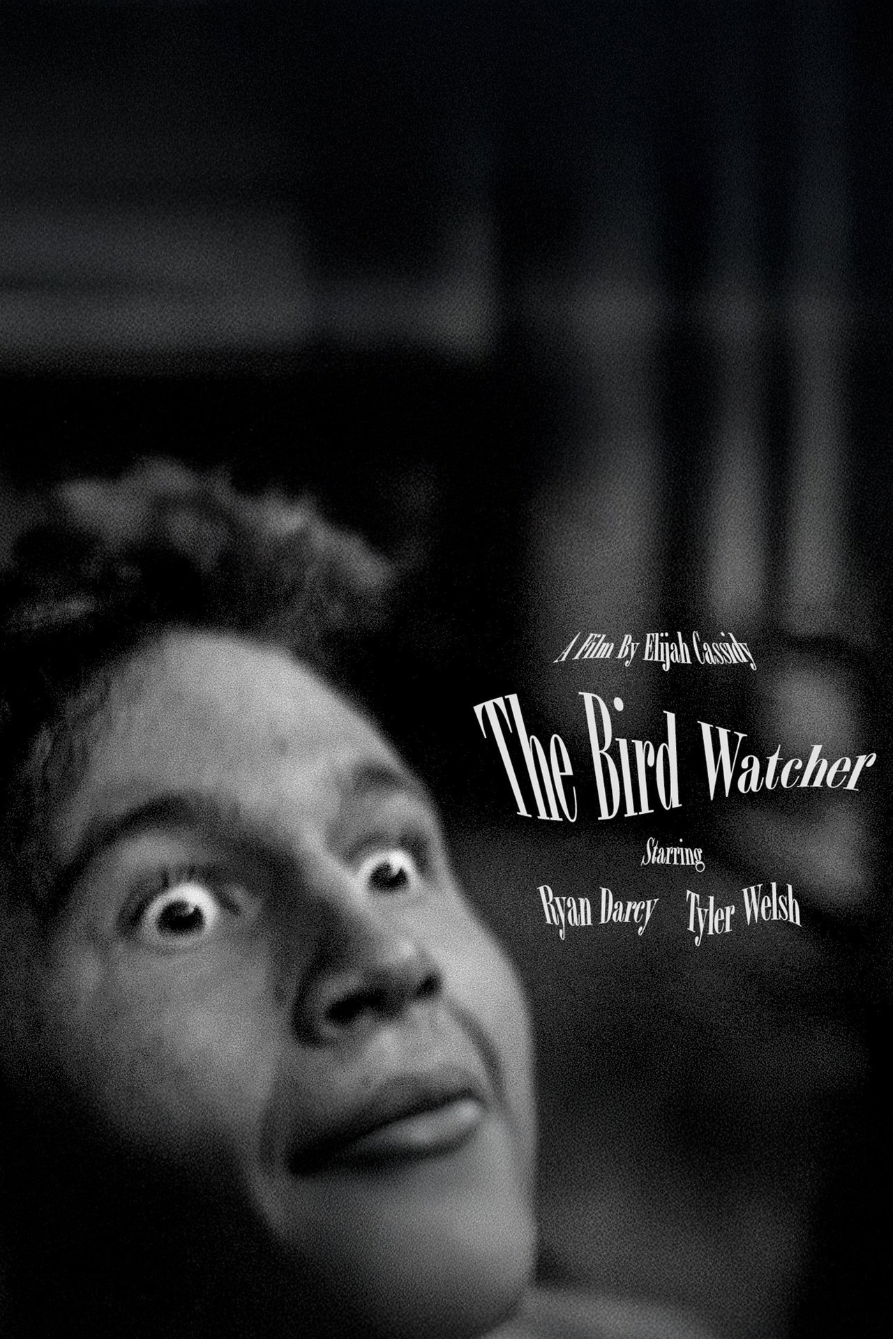 The Bird Watcher filmaffisch