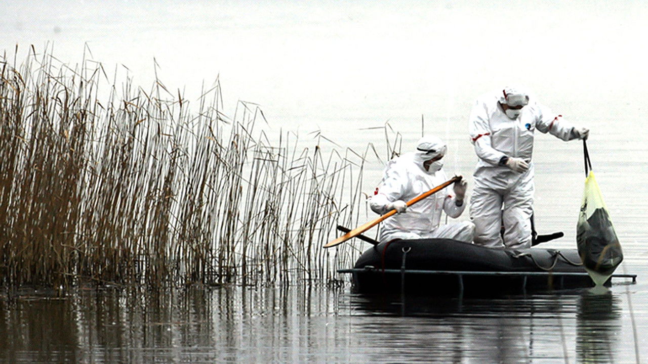 Ossi di Seppia - Il rumore della memoria — Épisode 1