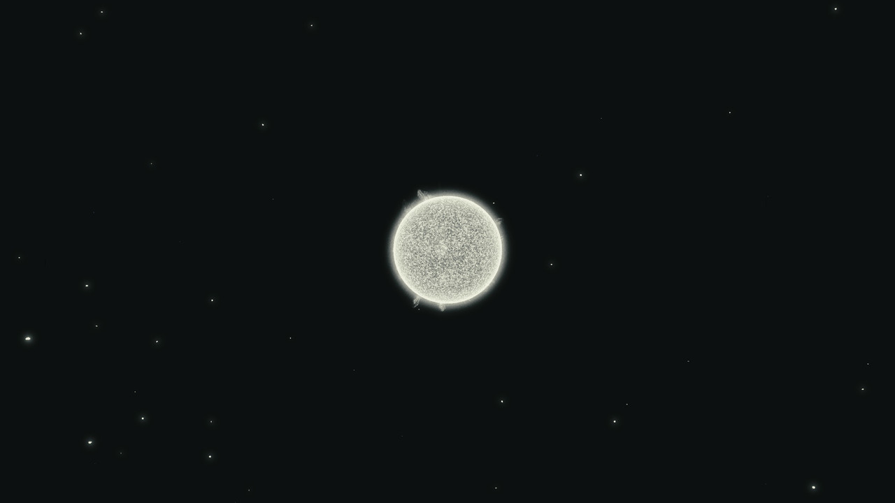 Fondo