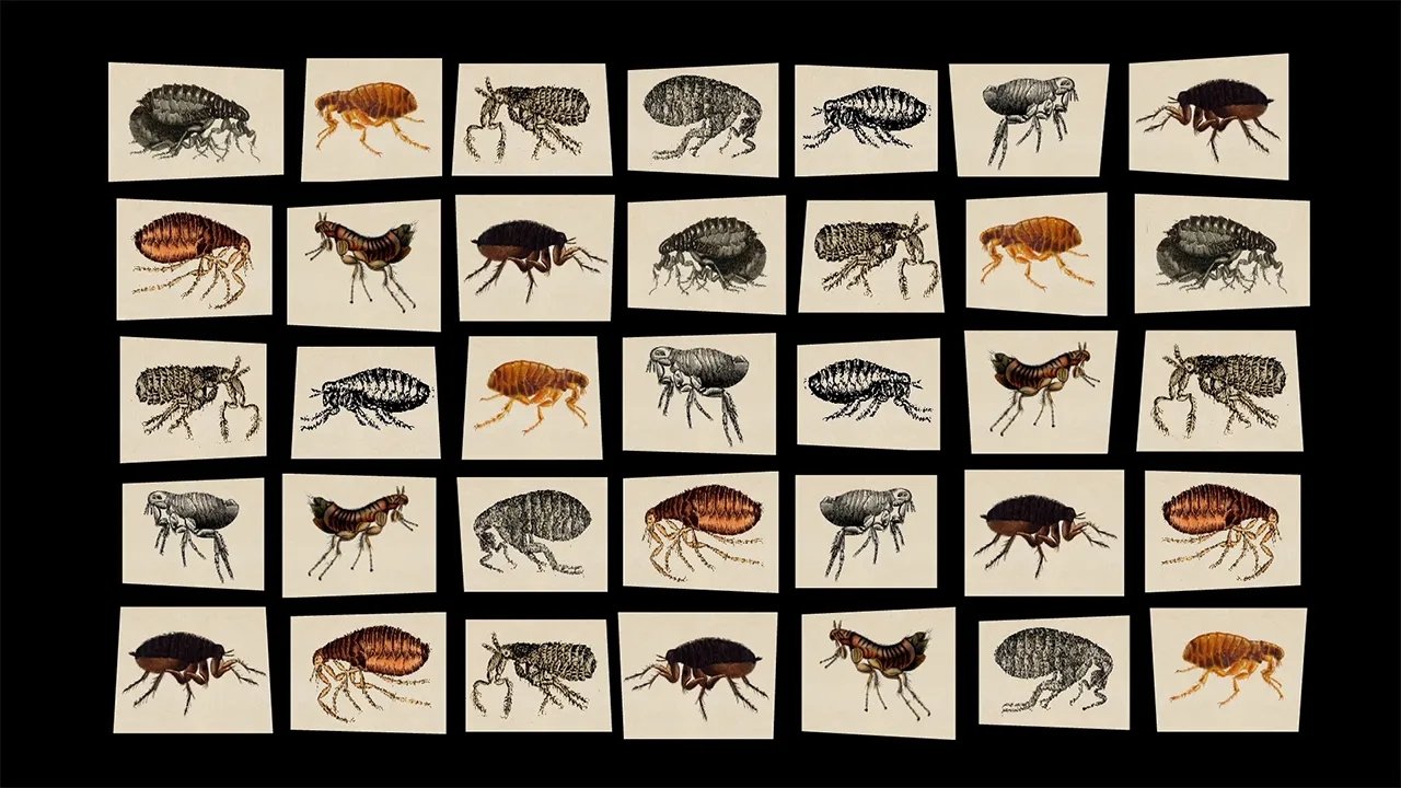 Dates That Made History