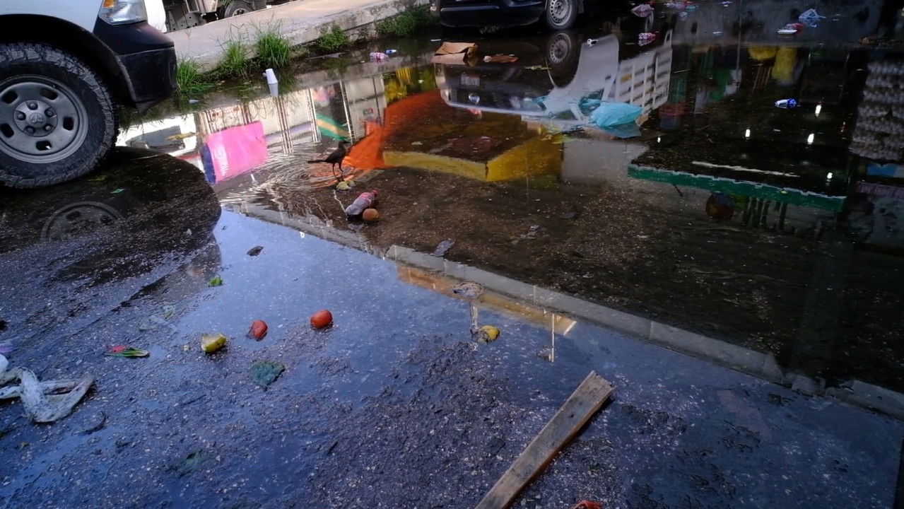 Sistemi i Objektave backdrop