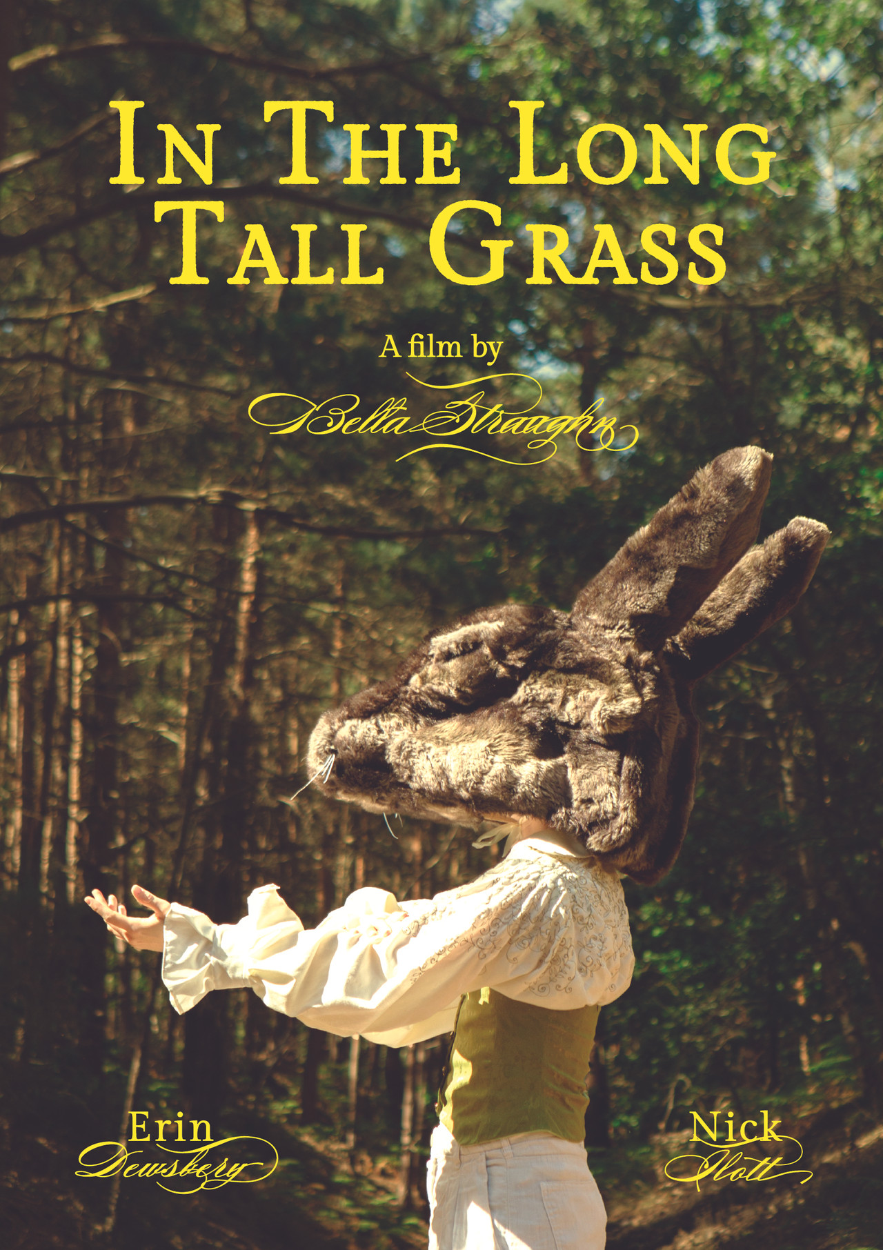 In The Long Tall Grass filmaffisch