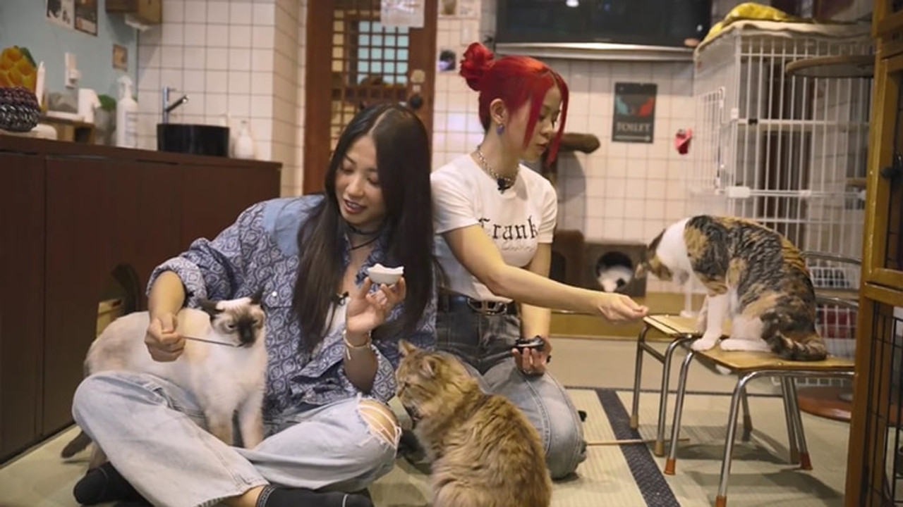 日本GAO芯假期 — Épisode 7