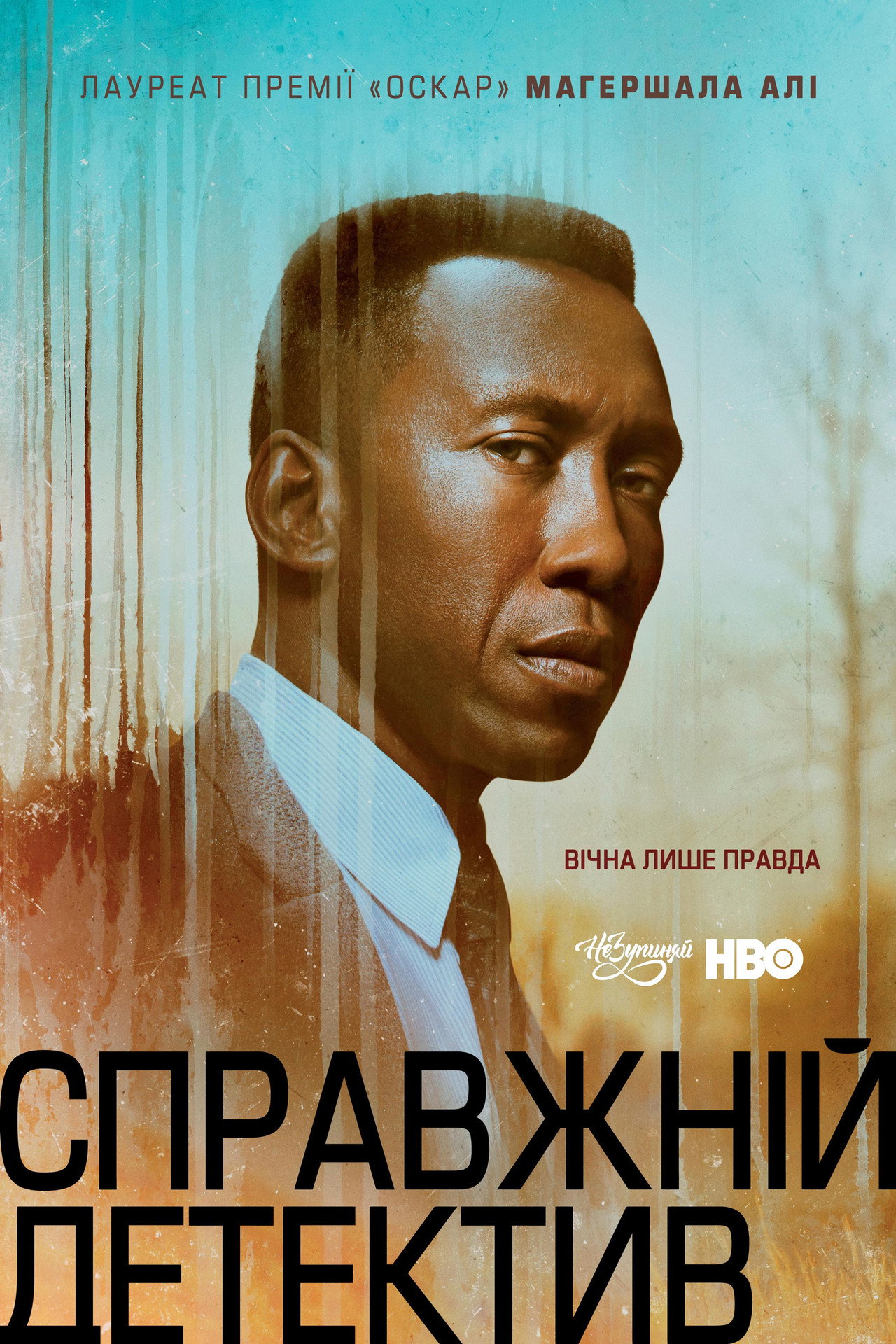 True Detective (2019) Hindi Season 3 Complete backdrop