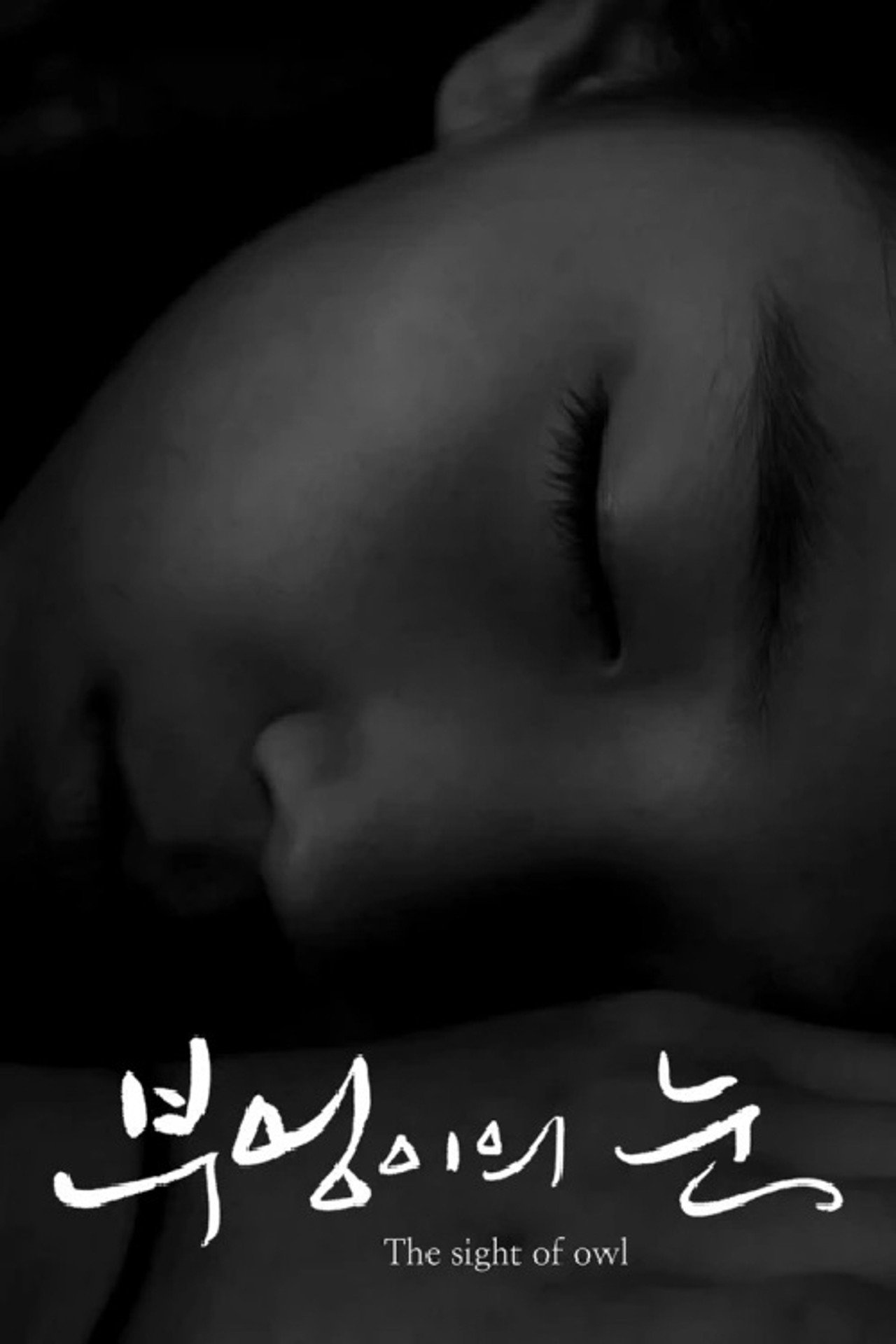 부엉이의 눈 filmaffisch