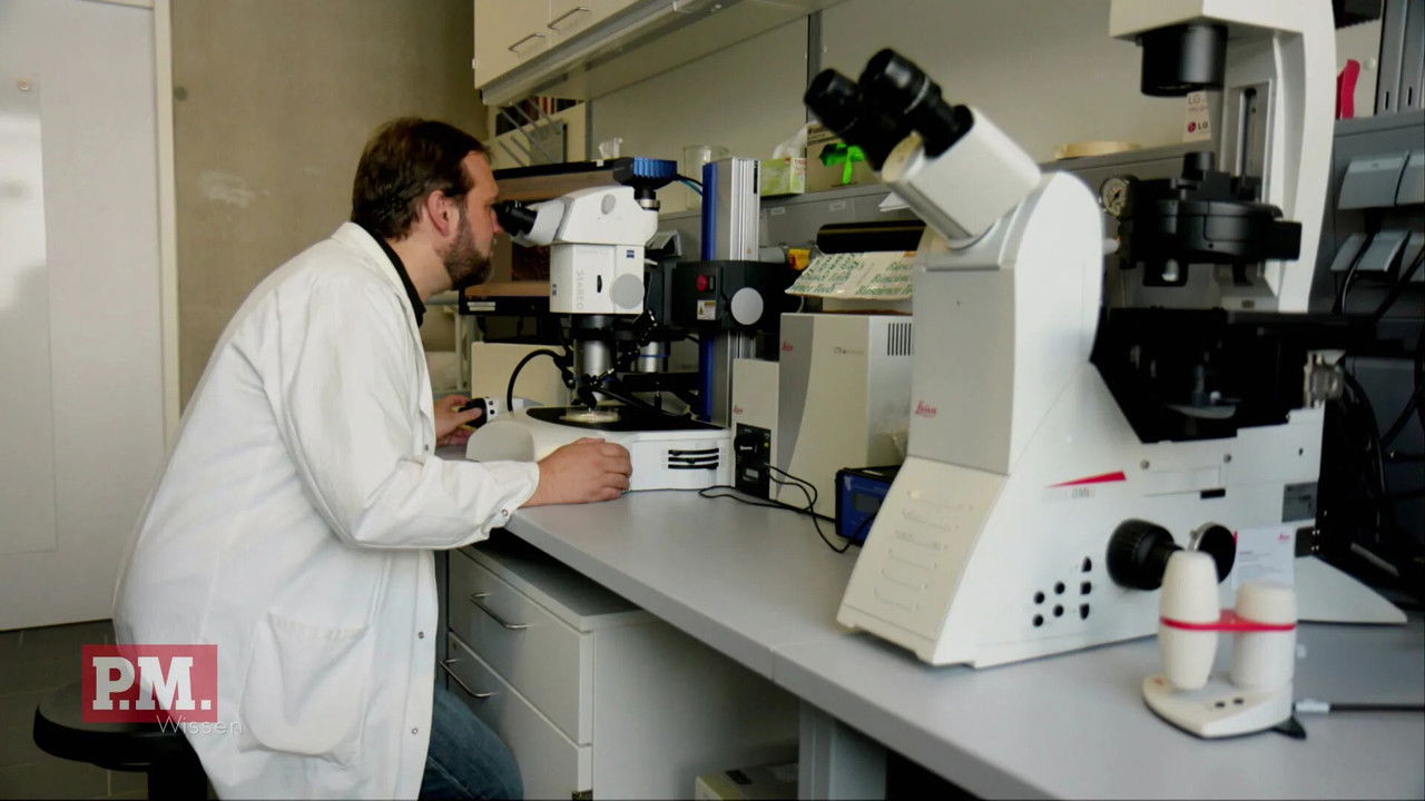 P.M. Wissen — Épisode 66