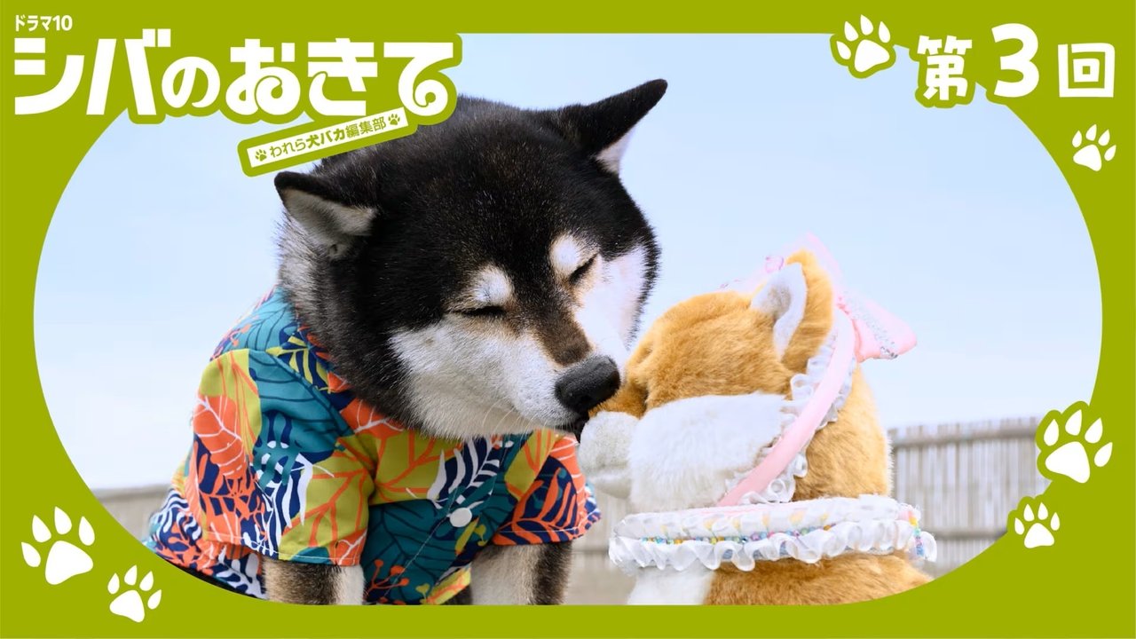 Shiba no Okite: Warera Inu Baka Henshu Bu - Season 1 Episode 3 : Episode 3