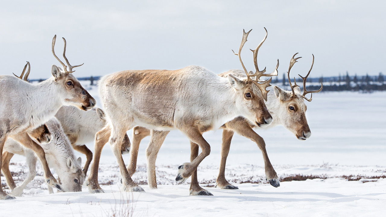 Guides d'aventures — Épisode 7