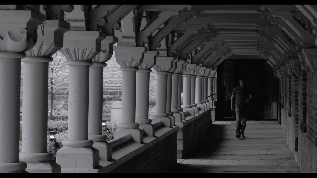 The Cactus still 5
