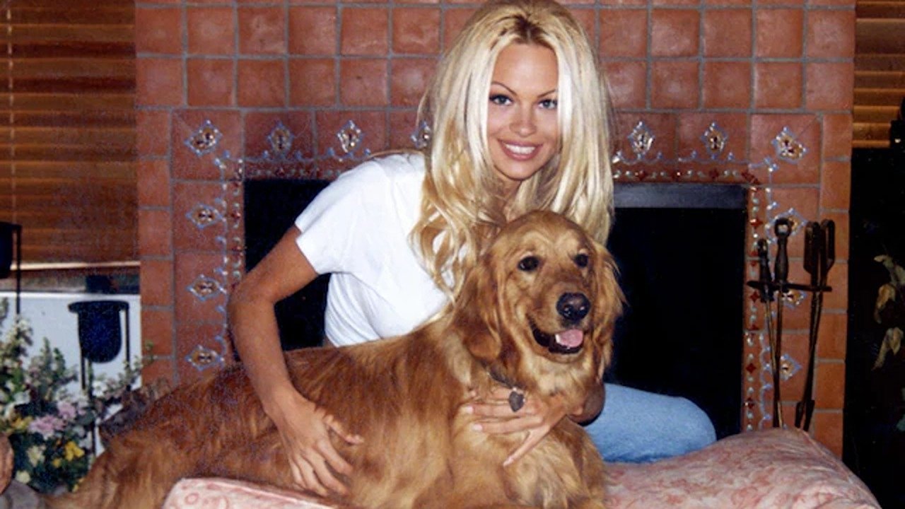 Pamela Anderson: Bir Aşk Hikâyesi