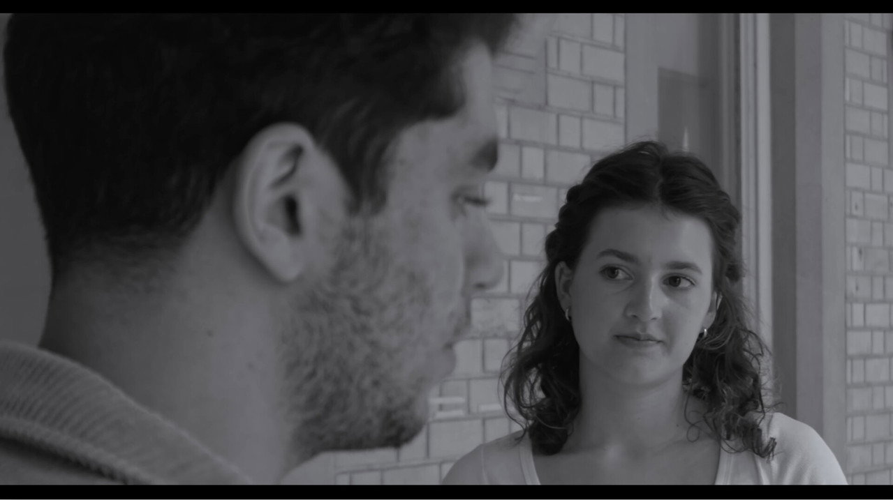 The Cactus still 3