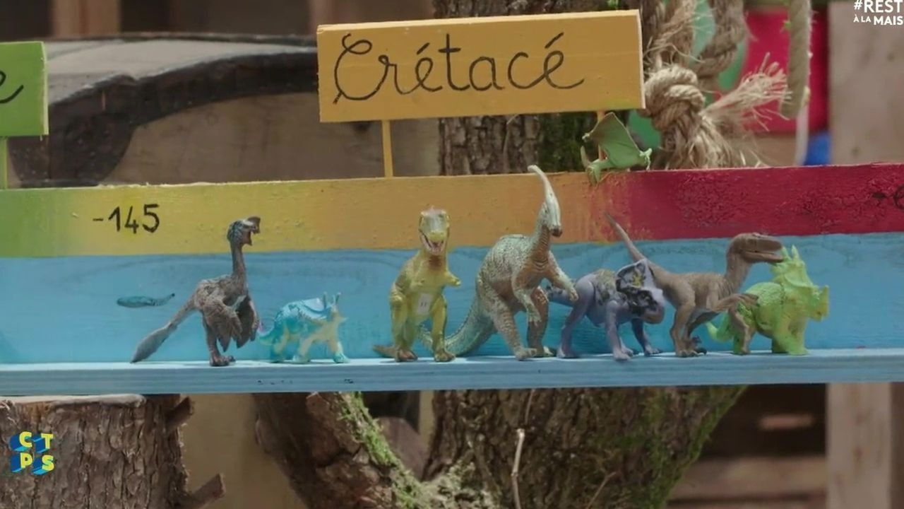 C'est toujours pas sorcier — Que reste-t-il des dinosaures ?