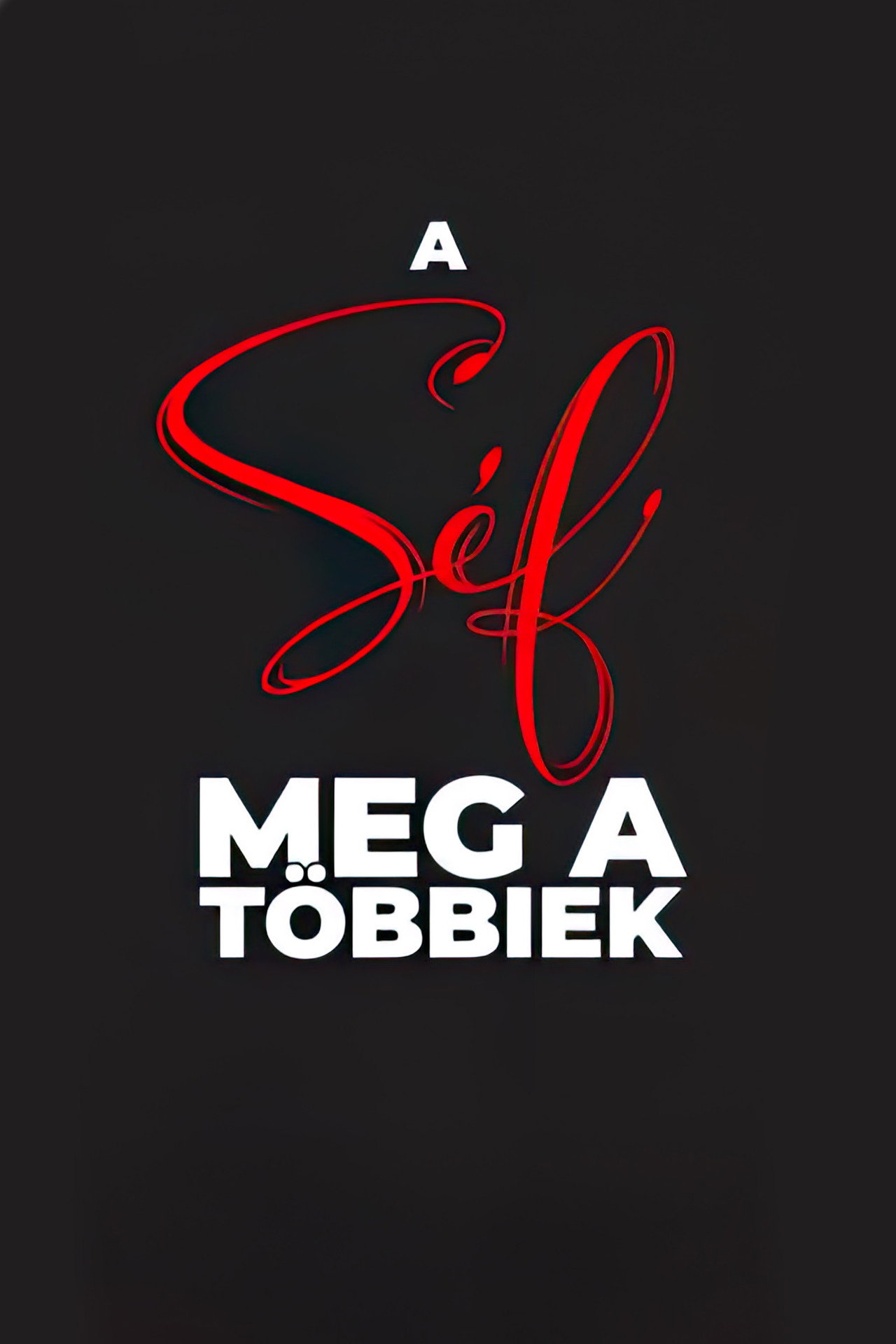 A Séf meg a többiek – plakát 4