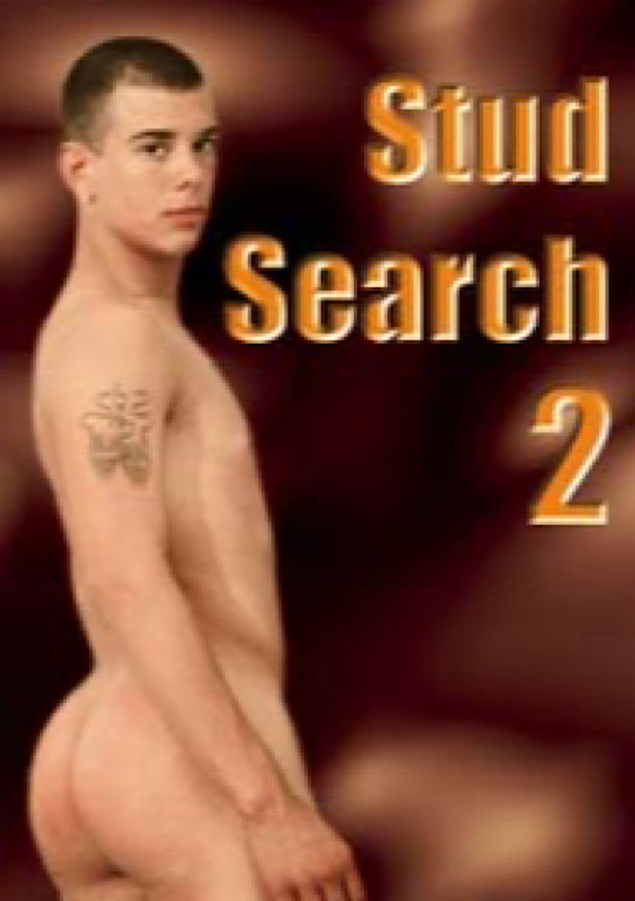 Stud Search 2 filmaffisch