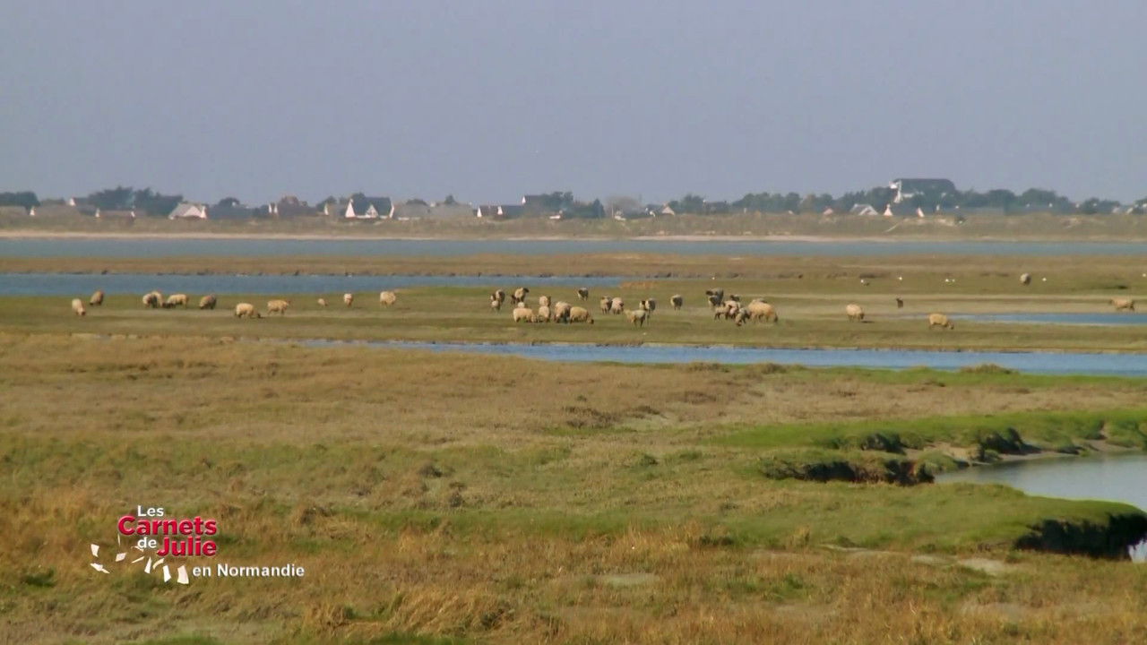 Les Carnets de Julie — Le Cotentin, en Normandie