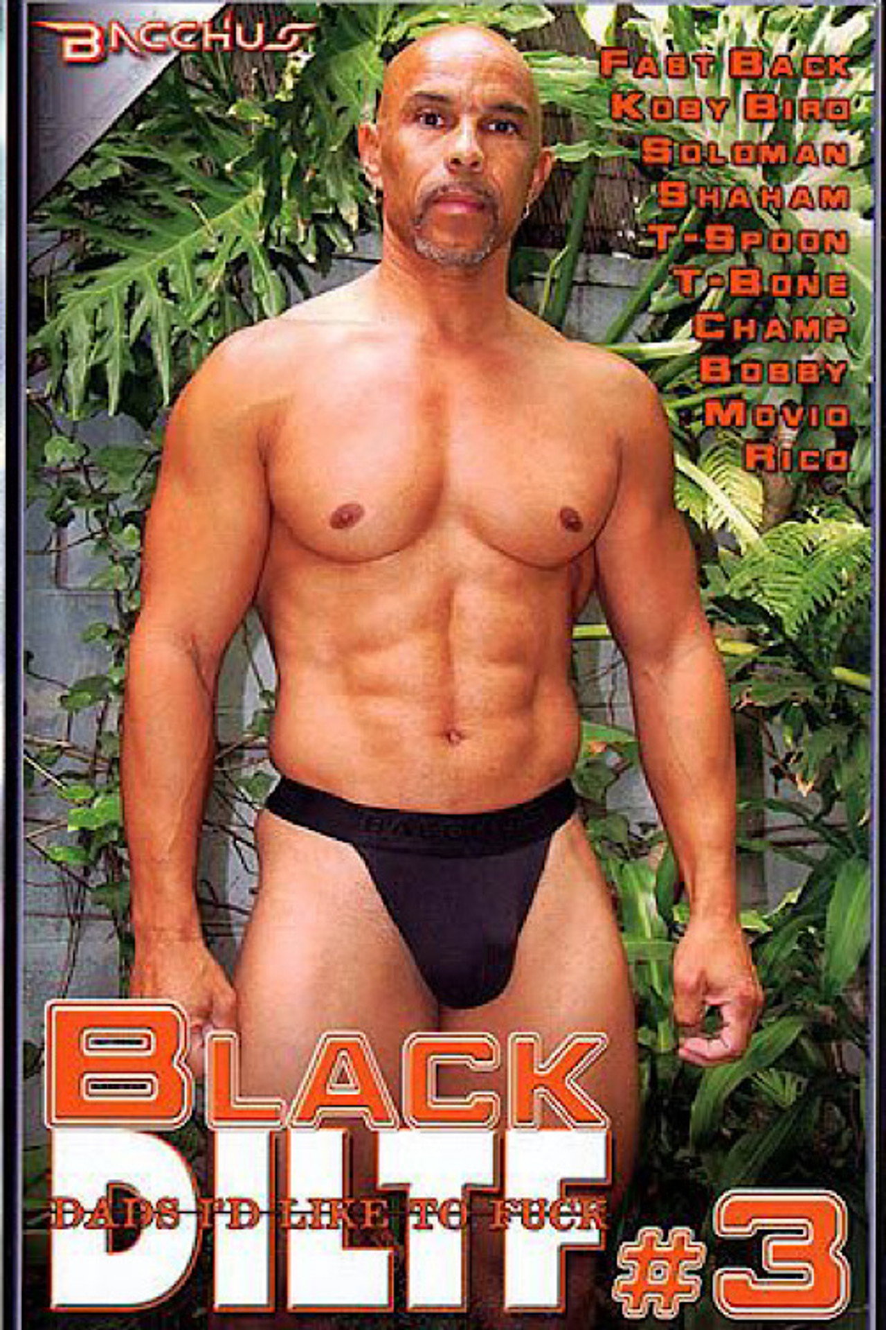 Black DILTF 3 filmaffisch
