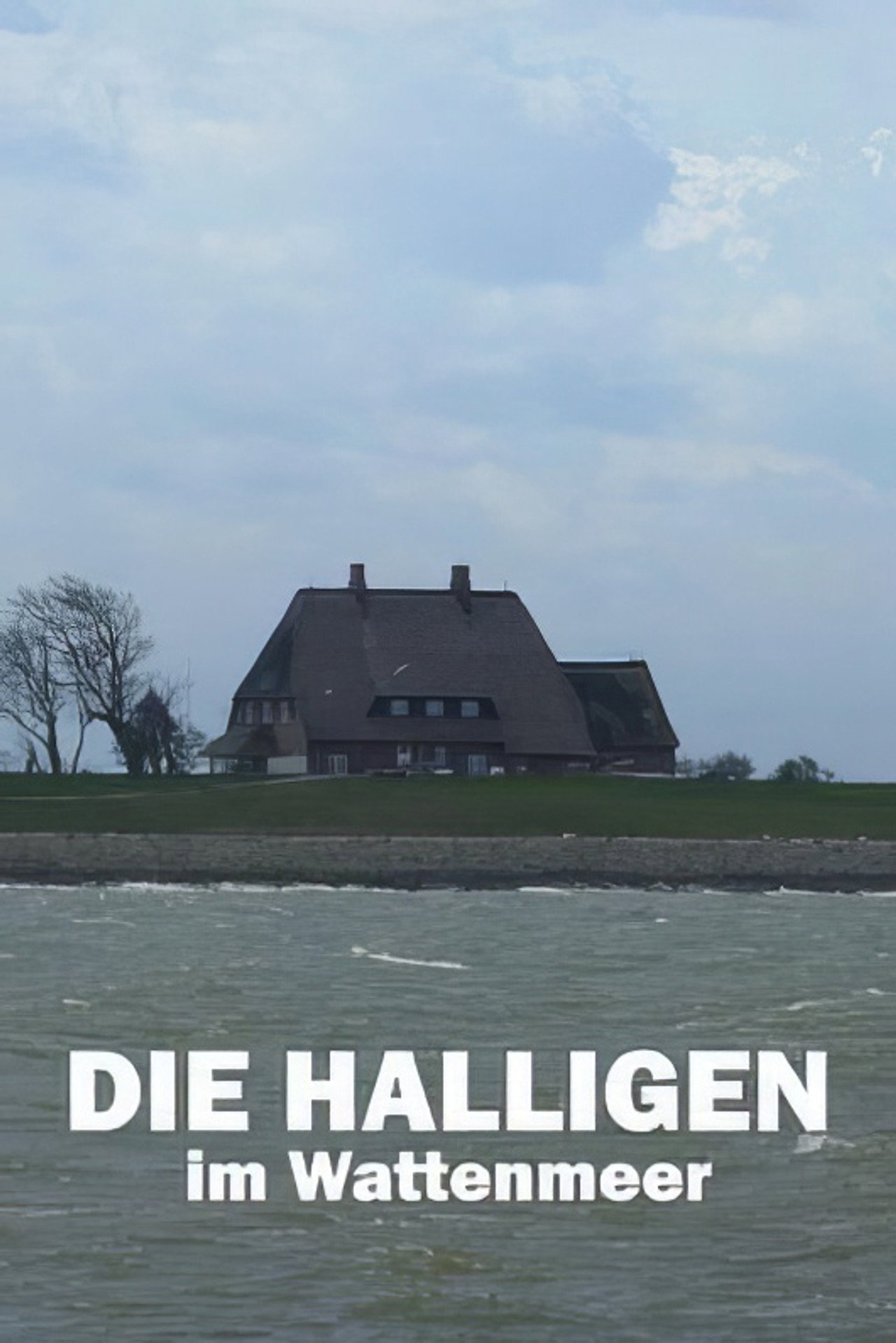 Die Halligen im Wattenmeer (2021)