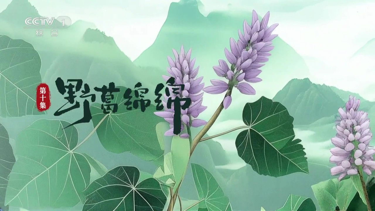 本草流芳 — Épisode 10