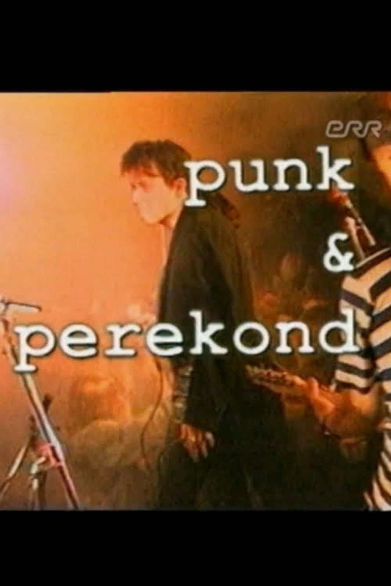 Punk and the Family poster