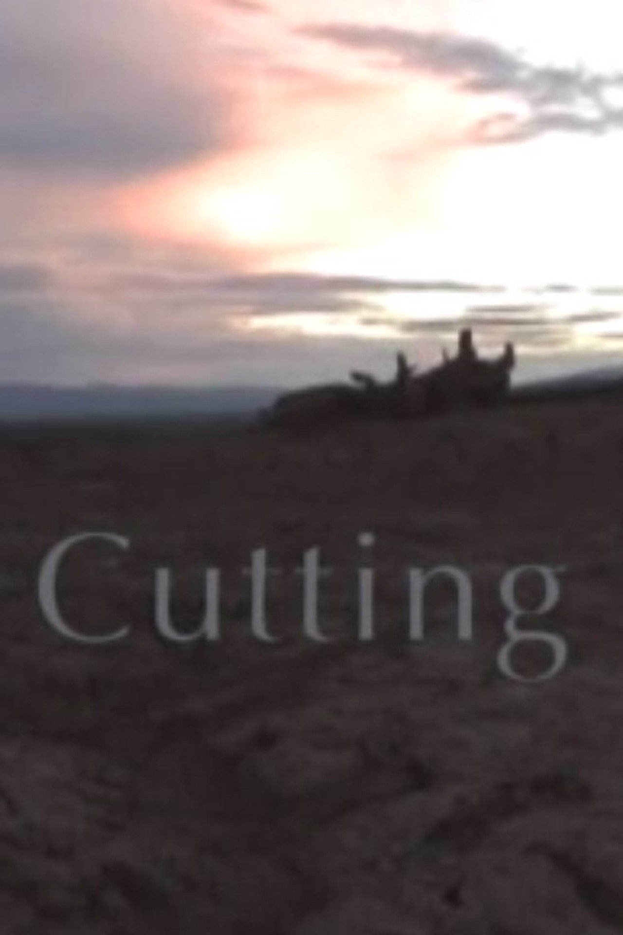 Cutting filmaffisch