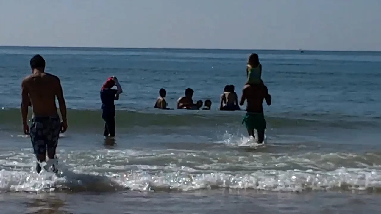 Free Waves
