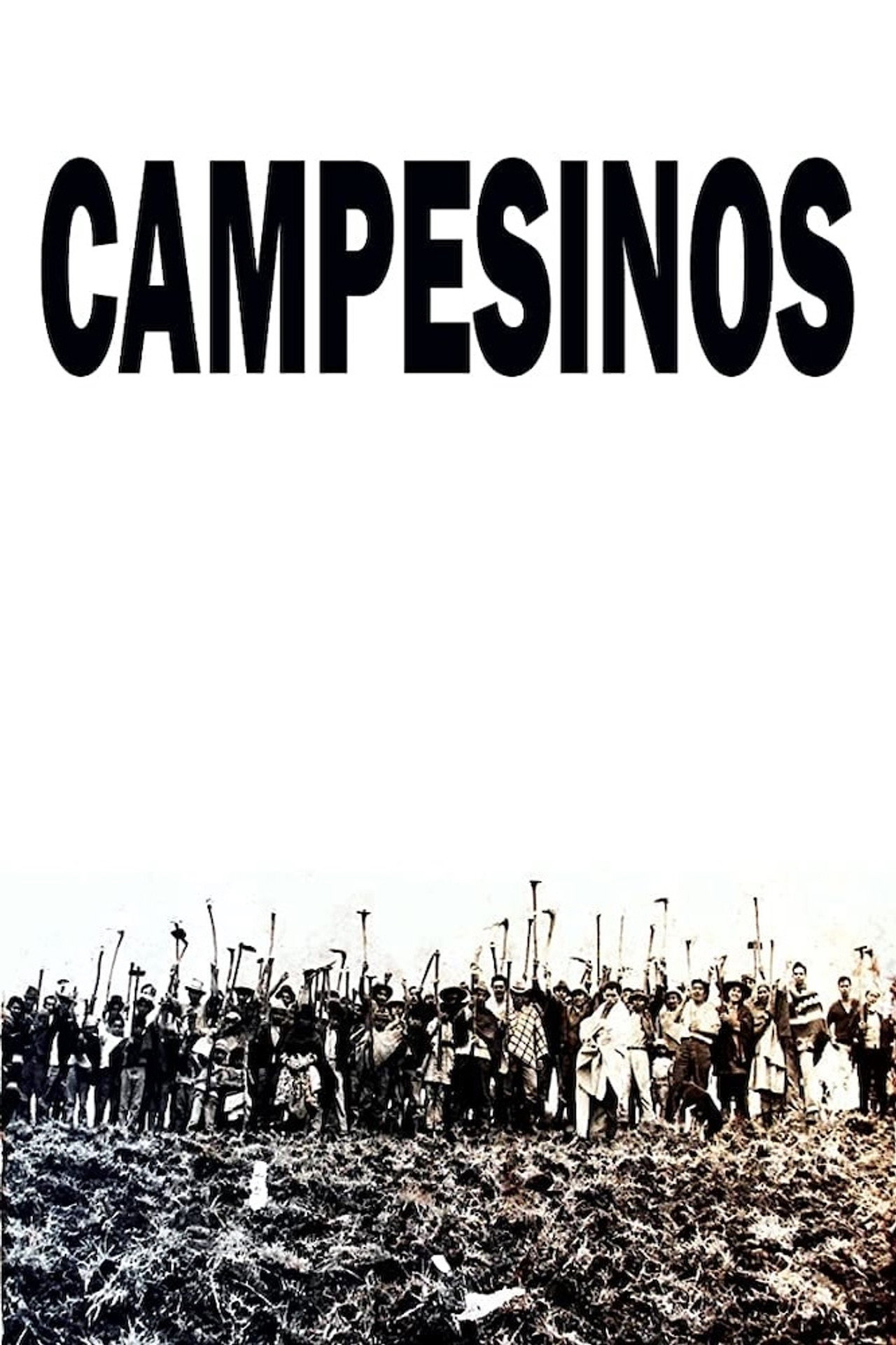Campesinos filmaffisch