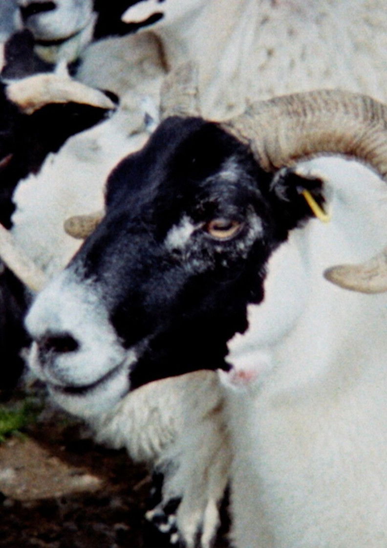 Passing Clouds poster